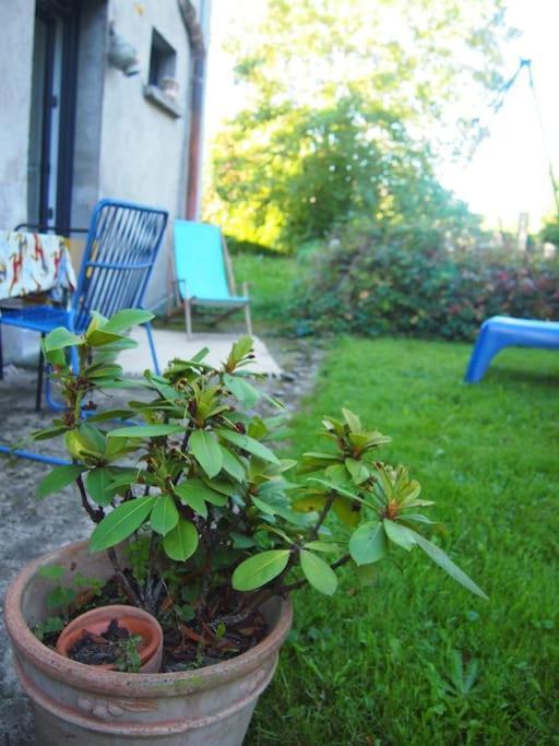 Cosy Calme & Apartment