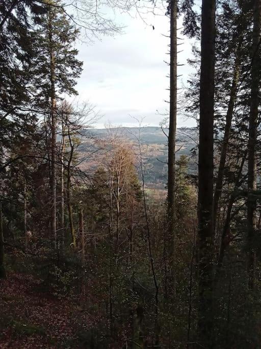 Apartment Cosy Calme & Senones (Vosges)