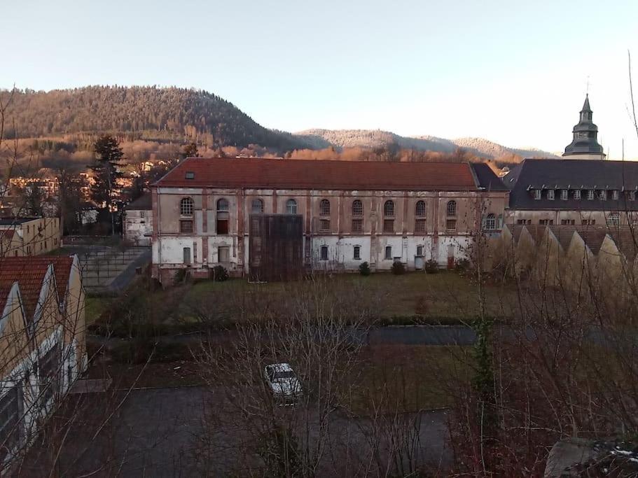 Cosy Calme & Apartment Senones (Vosges)